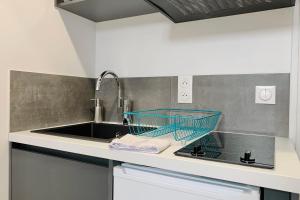 eine Küche mit einer Spüle und einem Korb auf der Theke in der Unterkunft The cozy nest #CT in Grenoble