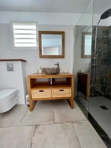 Vannituba majutusasutuses Villa Amaryllis luxueuse,piscine,vue mer,plage
