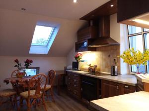 Kuchyň nebo kuchyňský kout v ubytování Apartment Pavel