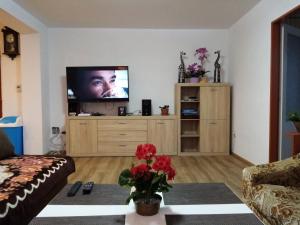 TV a/nebo společenská místnost v ubytování Apartment Pavel