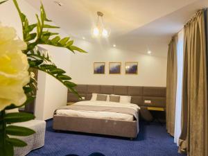 舒加格鄉的住宿－PENSIUNEA SUGAG，一间卧室配有一张床,铺有蓝色地毯