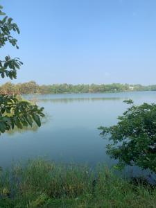 vistas a un lago con árboles en el fondo en Villa DeLorenta, en Anuradhapura