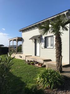 a house with a picnic table and a palm tree at Charmant chalet à 400 m de la mer in Guidel