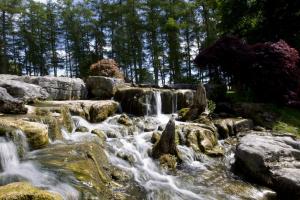 Paesaggio naturale nelle vicinanze dell'affittacamere