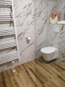 a bathroom with a toilet and a glass shower at Apartmani Sunset in Slavonski Brod