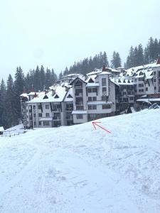 Ski Area 202 apt, The Castle 1, Pamporovo during the winter