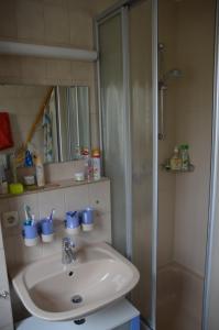 a bathroom with a sink and a shower at Ferienresidenz Chiemseestrand Nr. 8 in Chieming
