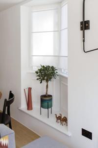 Stunning 1 Bed Flat in Amazing Location