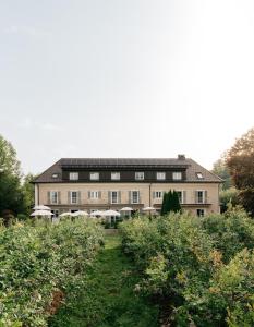 Zahrada ubytování Numa Salzburg Ivy