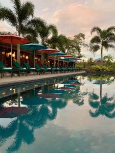 a pool of water with chairs and umbrellas and palm trees at La Coralina Island House in Bocas del Toro