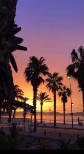 un groupe de palmiers sur une plage au coucher du soleil dans l'établissement Studio Corniche, à La Ciotat