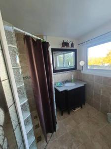 y baño con lavabo y ducha con espejo. en A beautiful cottage with lake front in Napanee ON en Deseronto