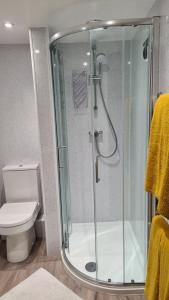 La salle de bains est pourvue d'une douche et de toilettes. dans l'établissement Morland, à Burrowbridge