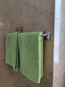 two green towels hanging on a towel rack in a shower at Lärchenheim in Obereggen