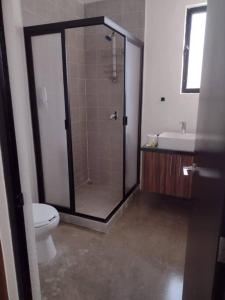 een badkamer met een douche, een toilet en een wastafel bij +MS +Loft Céntrico +Cómodo +Internet 119G in Casa Blanca La Corregidora