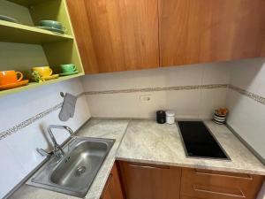 a kitchen with a sink and a counter top at Exclusive studio, great location in Podgorica +6 photos