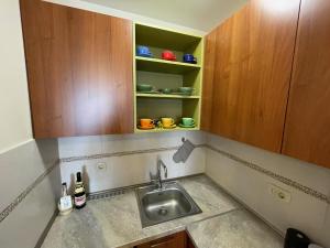 a kitchen with a sink and wooden cabinets at Exclusive studio, great location in Podgorica