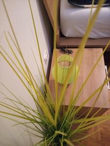 a potted plant sitting next to a bed at Apartment San Izola - near the beach in Izola