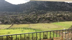 une vue sur un champ avec des animaux dans une montagne dans l'établissement Apartamento Rural Bella Vista, à Villaluenga del Rosario