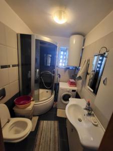 a bathroom with a sink and a toilet and a shower at Apartment Matea in Senj