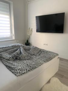 Televízia a/alebo spoločenská miestnosť v ubytovaní D&V Apartman