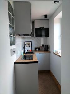 Kuchyňa alebo kuchynka v ubytovaní Uroczy apartament w centrum Krakowa + 5 fotografií