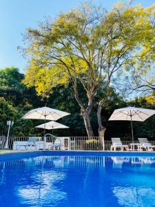 a swimming pool with two umbrellas and chairs at Hotel Cala Blanca Cuernavaca in Cuernavaca