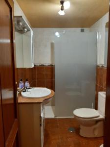 a bathroom with a sink and a toilet at La Playina in Cangas de Onís