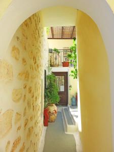 an archway leading into a house with potted plants at Avlitis in Ermoupoli