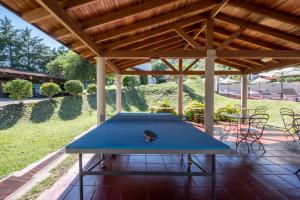 eine blaue Tischtennisplatte unter einem Pavillon in der Unterkunft Harmonie Hotel De Montaña - Adults only in Villa General Belgrano