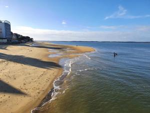 - une plage avec une personne nageant dans l'eau dans l'établissement Côté Bassin, à Arcachon