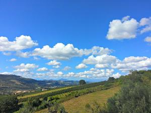 una verde collina con cielo azzurro e nuvole di Agriturismo Monte Maggio a Lapedona