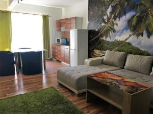 Termál Apartman في نيرباتور: غرفة معيشة مع أريكة ومطبخ