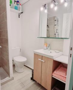 a bathroom with a sink and a toilet and a mirror at Studio Cosy près du Lac in Sainte-Croix-de-Verdon