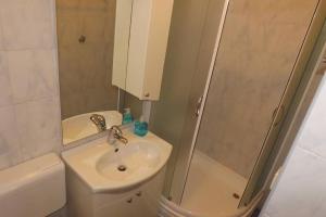 bagno con doccia, lavandino e servizi igienici di Studio Apartment Bupić- Close to Old City with Free Parking a Dubrovnik