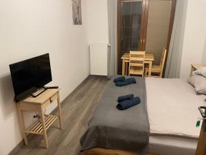 Telewizja i/lub zestaw kina domowego w obiekcie W Łęgu Natury