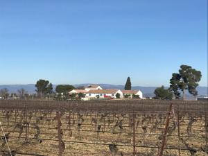 Galeriebild der Unterkunft O’gîtes des colombes in Colombiers + 15 Fotos