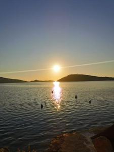 Fotografia z galérie ubytovania Beach front apartment with beautiful sunsets v Rogoznici + 22 fotografií
