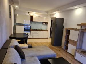 ein Wohnzimmer mit einem Sofa und einer Küche in der Unterkunft COSMOPOLIS in Ştefăneştii de Jos