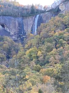 une cascade au milieu d'une forêt plantée d'arbres dans l'établissement Hickory Falls Inn, à Chimney Rock