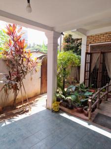 Zahrada ubytování Ceylon Casa