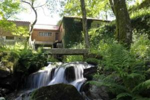 LamelasCasa de Barreiros Camélias de Basto的森林中房屋前面的瀑布