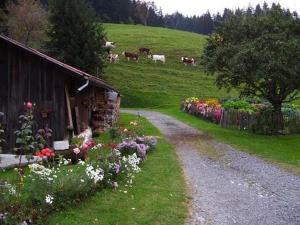 uma estrada de terra ao lado de um celeiro com flores e vacas em La Tour em Combloux