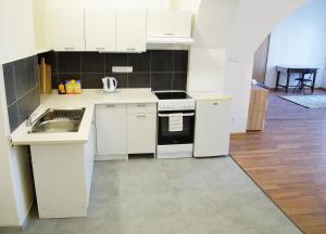 Kuchyňa alebo kuchynka v ubytovaní Apartment Porta