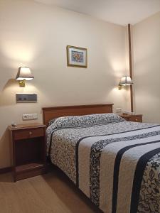 サンティアゴ・デ・コンポステーラにあるHotel Capital de Galiciaのベッド1台と2泊用のスタンドが備わるホテルルームです。