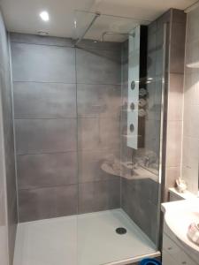 um chuveiro com uma porta de vidro na casa de banho em L'Arbre d'Alaïs em Saint-Fulgent