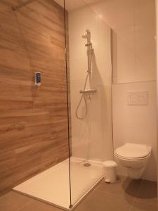 a white toilet sitting next to a shower in a bathroom at Brit Hotel Essentiel de Granville in Granville