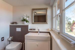 a bathroom with a sink and a toilet and a mirror at HofGut Bockelkathen Apartment 4 in Lüdersburg