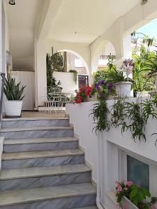 a staircase with potted plants on the wall at Pension Filitsa in Pylos