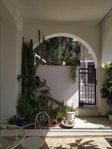 a patio with a bunch of potted plants and a gate at Pension Filitsa in Pylos